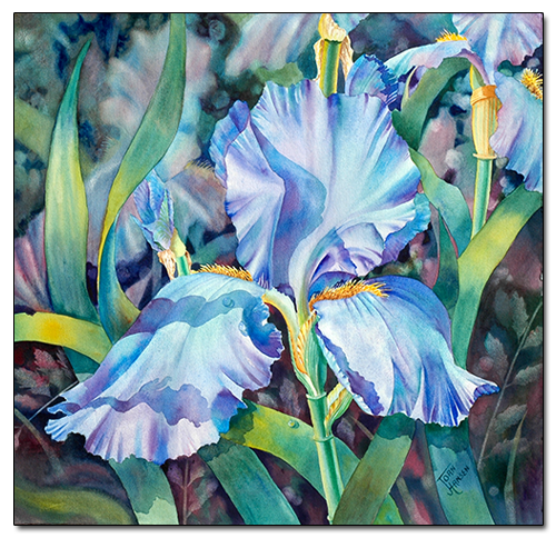 Blue Iris by Joan Hansen