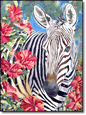 Celebrate the Patterns of the Wild by Joan Hansen