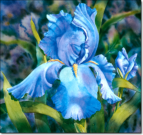 Iris Ballerina by Joan Hansen